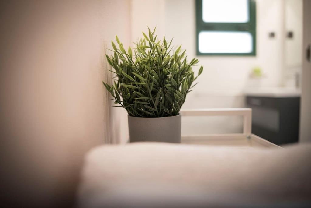 Apartamento En Centro Historico Con Patio Romano San Lorenzo de El Escorial Bagian luar foto